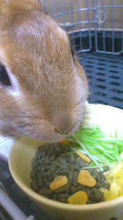 20111231.jpg