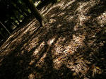 DSCN2264.JPG