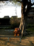 DSCN3249.JPG