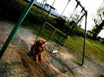 DSCN3263.JPG