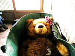 DSCN3284.JPG