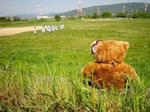 DSCN3784.JPG