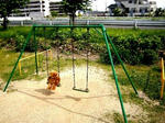 DSCN4492.JPG