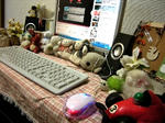 DSCN4955.JPG