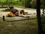 DSCN5098.JPG