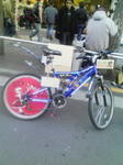 a2546540jpeg