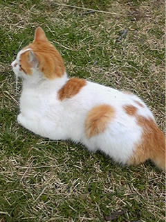 20100426.jpg