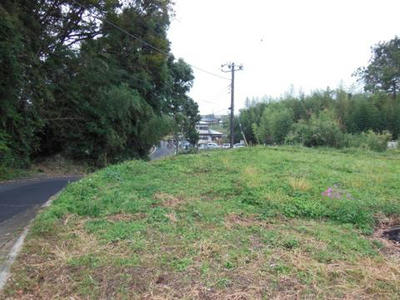 th_DSCN1113.jpg