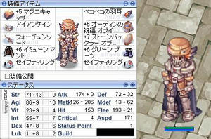 Equipment_guard.jpg