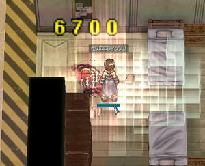 seitai1_2.jpg