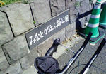 park1.JPG