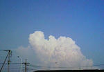kumo.JPG