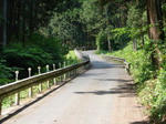 bike_tokyo_24.jpg