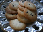 R1001560.JPG