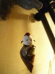 R1002117.JPG