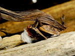 R1002258.JPG