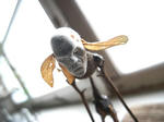 R1002824.JPG