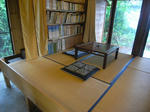 R1003024.JPG