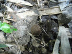 R1003050.JPG