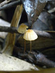 R1003051.JPG
