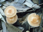 R1003067.JPG