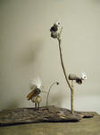 R1003145.JPG