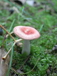 R1003588.JPG