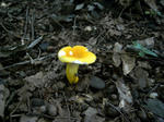 R1003597.JPG