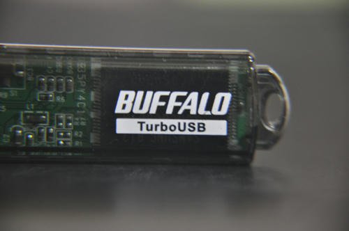 buffalo.jpg