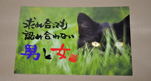 gon_card_20100219.jpg