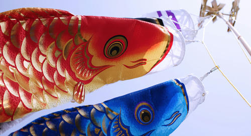 koinobori.jpg