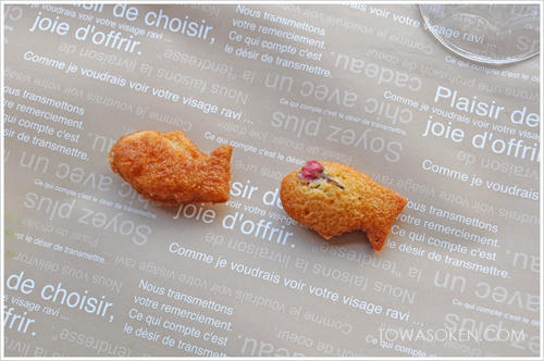 Madeleine_20110205.jpg