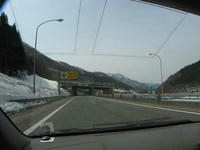 IMG_3101.jpg