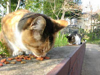 IMG_3280.jpg