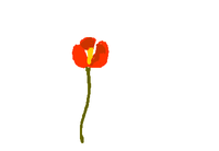 fimg_1274144644.png