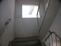 IMG_4880.jpg