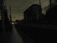 IMG_5177.jpg