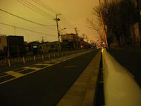 IMG_5179.jpg