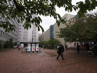PA280317.jpg