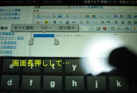 PC230486.jpg