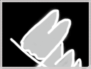 200906246.gif
