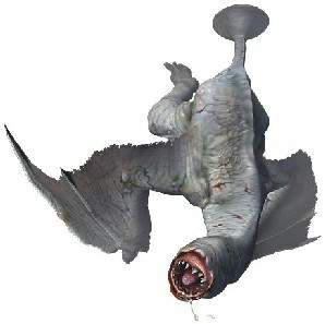 61164b86.jpeg