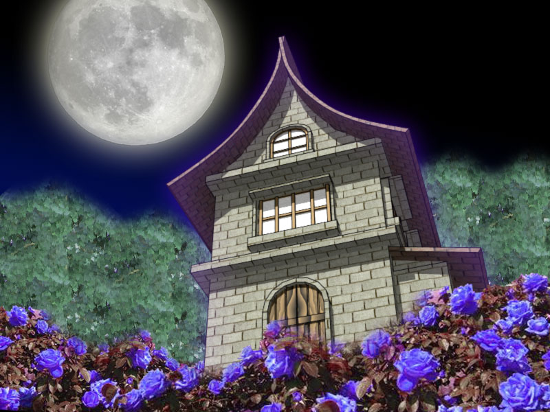 ir_image06.jpg