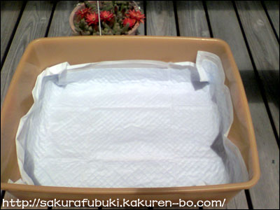 下のトレーとペットシーツ 画像