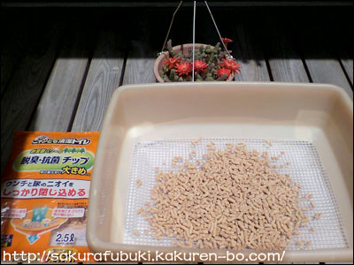 チップもサービス 画像