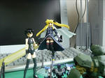 081109n1.jpg