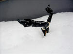 090125na7.jpg