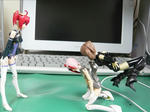 090221na3.jpg