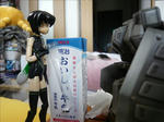 090317wj1.jpg