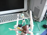 090320na4.jpg